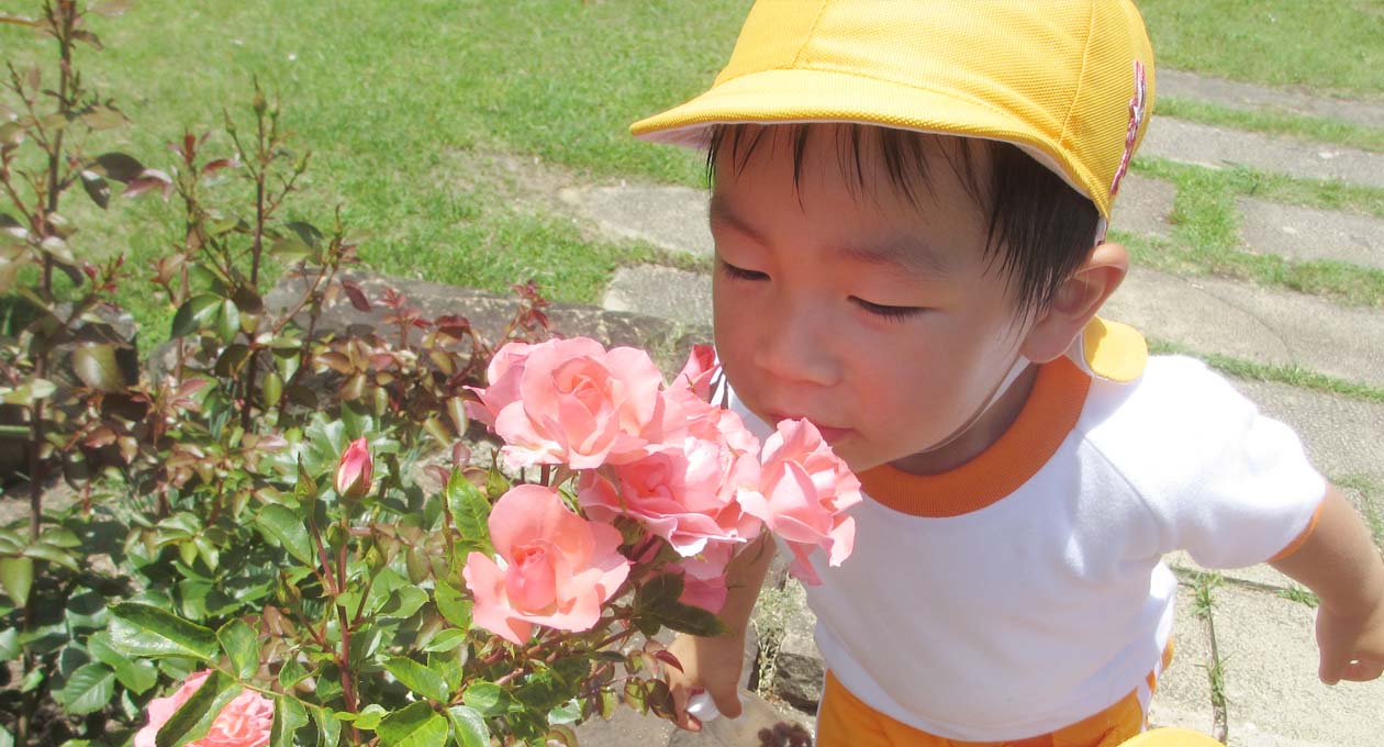 花の香りを嗅ぐ園児