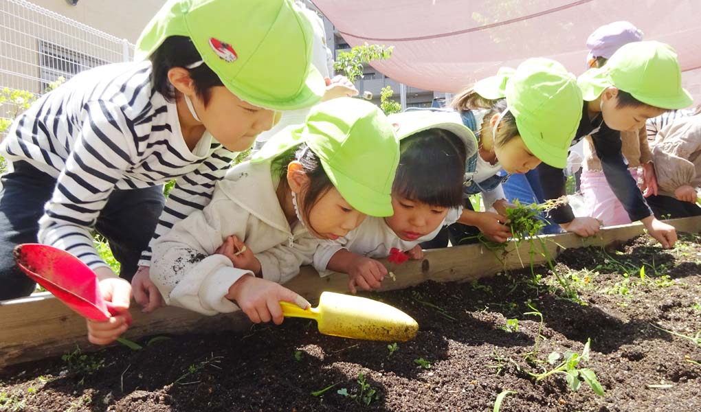 花壇で何かを見つけた園児