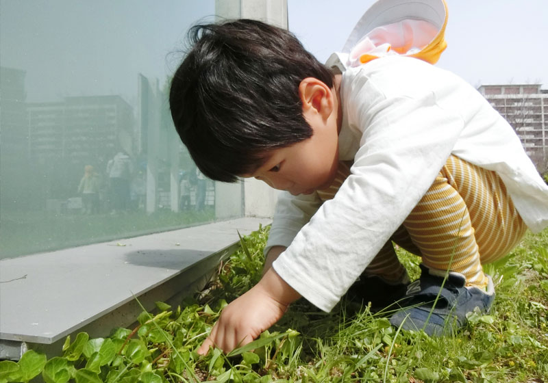 草に触れる園児