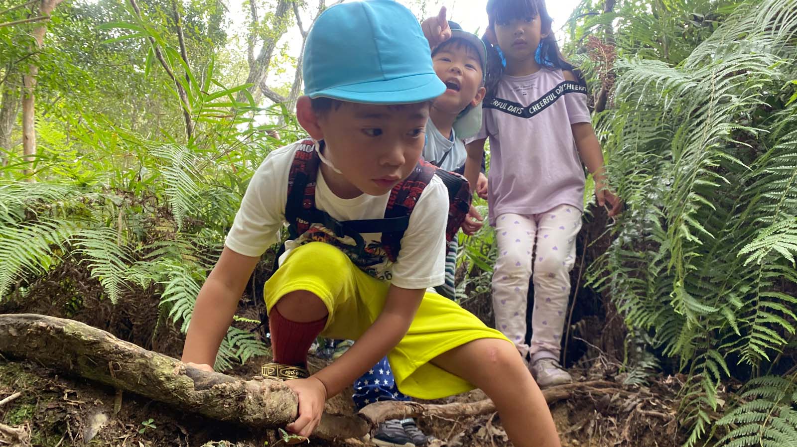 森で何かを発見する園児